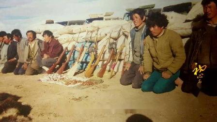 可可西里在线观看,在线观看之旅  第3张