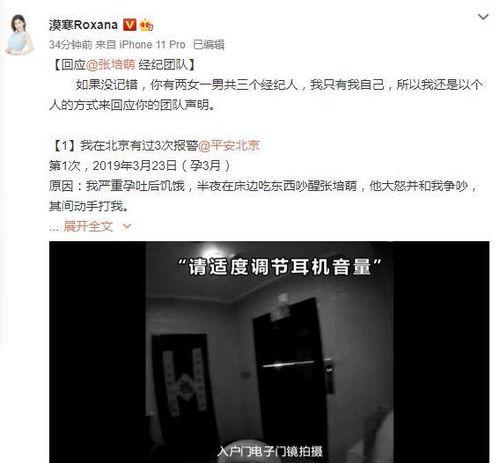 宝强老婆爆料视频大全,揭秘婚姻真相与情感纠葛  第3张
