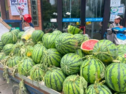 密维免费吃瓜群,揭秘娱乐圈幕后故事，畅享独家爆料盛宴  第3张